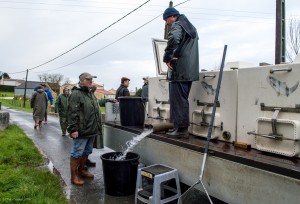 Lâcher de truites en préparation                    